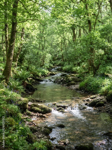 Lush Green Forest Stream Flowing Over Rocks in Sunlight.