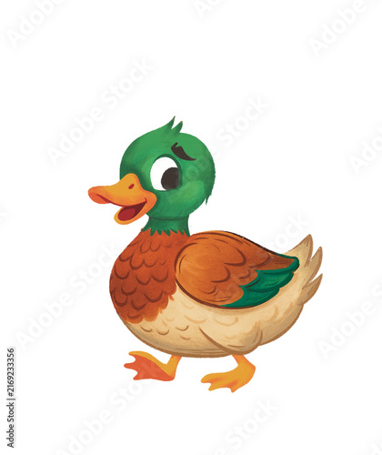 Fotografie Mallard duck cartoon character walking isolated on transparent background