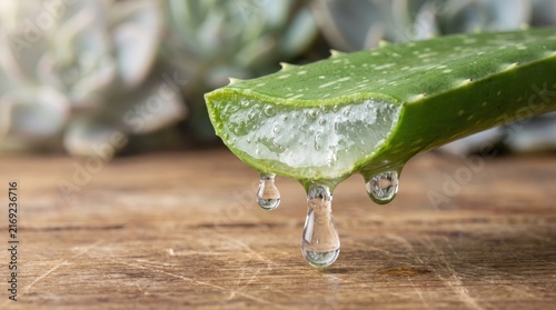 Close up of a fresh cut aloe vera leaf dripping clear gel onto a wooden surface.
