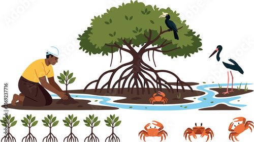 Foto Mangrove Restoration and Reforestation Set with Volunteer Planting Sapling, Ecos
