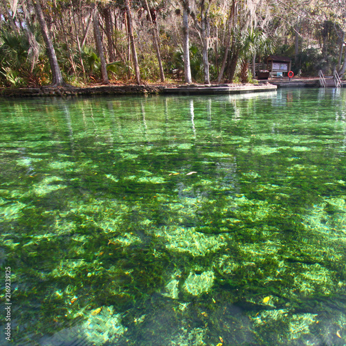 Wekiwa Springs Landscape in Florida