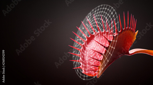 Digital capture grid expanding outward from a luminous red Venus flytrap leaf against a dark background