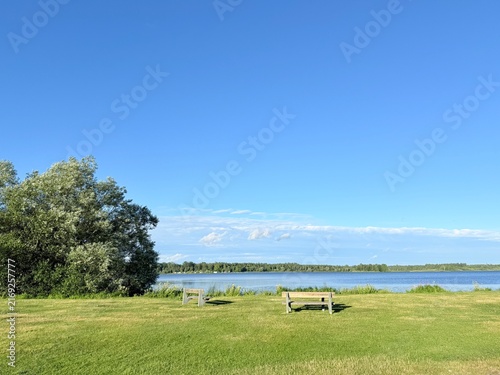 Foto Peaceful lakeside view with big tree, blue sky, duck and sun shine