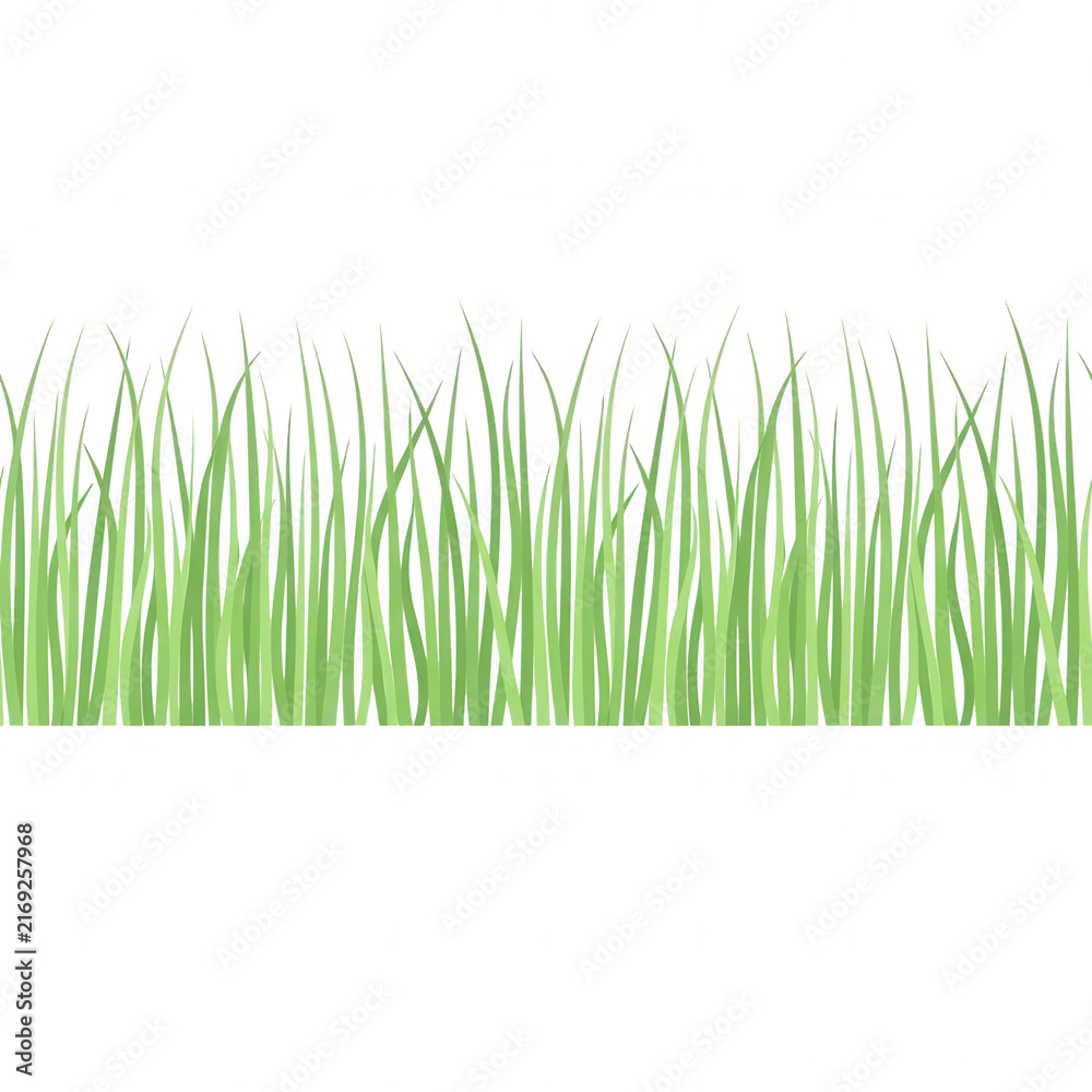 Obraz premium Grüne Grashalme als freigestellte Bordüre auf weißem Hintergrund, perfekt geeignet für frühlingshafte und sommerliche Designprojekte.