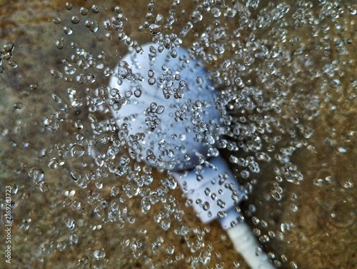 Принти на полотні A showerhead with water spraying from it, captured in mid-air as individual droplets