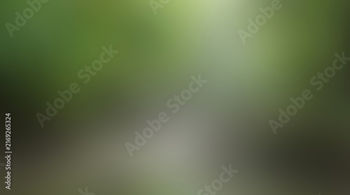 Abstract Blurred Background of a Tropical Mangrove River and Lush Green Vegetation