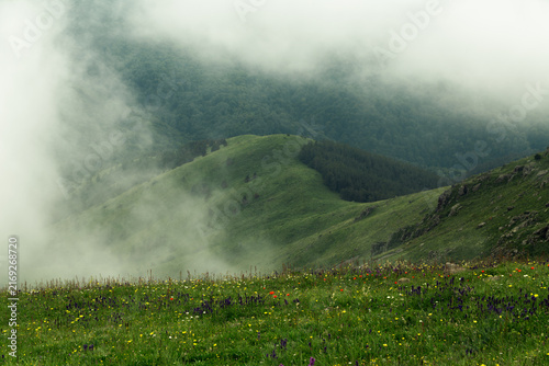 Obraz na płótnie Misty Mountain Valley With Colorful Wildflower Meadow in Foreground