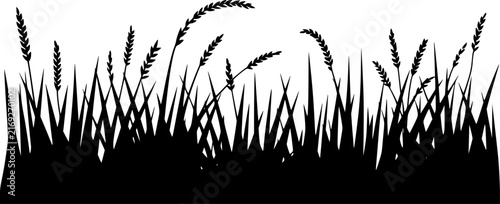 A black silhouette of wild grass and wheat stalks isolated on a clean white background for projects
