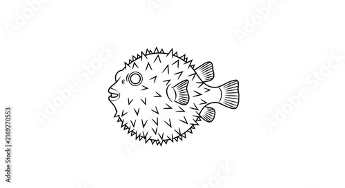 Prickly pufferfish in profile with spiky body with line drawing pufferfish black white line art illustration wildlife seafood marine animal with ocean