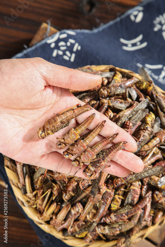 Fotografía Fried Locusts and Grasshoppers in Hand - Traditional Shandong China Edible Insec