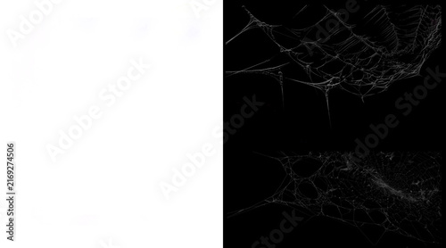 Quadro su tela Spooky spider web illustration set, white cobweb textures on black background, c