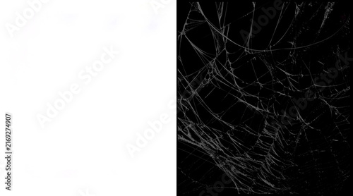 Fotografía Spooky spider web texture on black background, realistic cobweb overlay for Hall