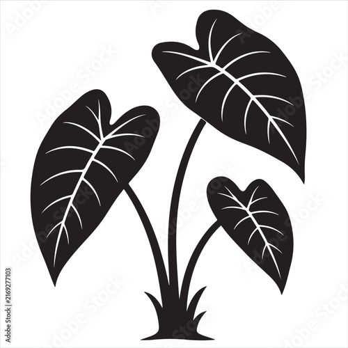 Black taro leaf plant silhouette vector illustration