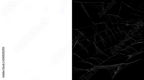 Cuadro en lienzo Spooky spider web overlay on black background, delicate white cobweb texture, ee