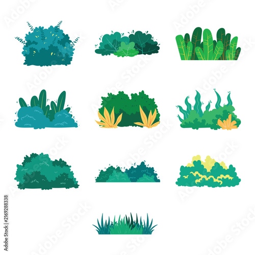 Green Bushes Shrubs and Tropical Plants Illustration Set