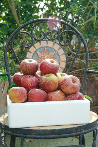 Konstfotografi Fresh Xinjiang Yanyuan Apples in Garden Setting - Organic Fruit Harvest Display