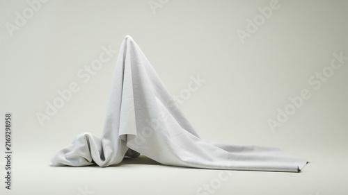 A Mysterious Form Under a Drape: An abstract representation of hidden potential or an unknown subject, a white cloth drapes over an unseen form, creating an air of mystery and intrigue.