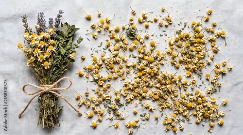 Herb bundle scattered chamomile flowers white flat lay