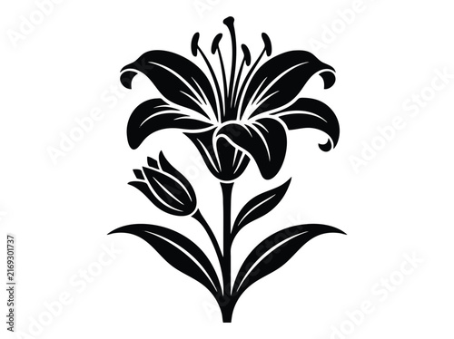 Elegant lily flower illustration in black silhouette style; graceful botanical design with blooming petals, bud and long leaves; modern plant art; vector graphic