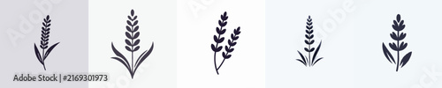 Lavender Flower Silhouette Vector Illustration