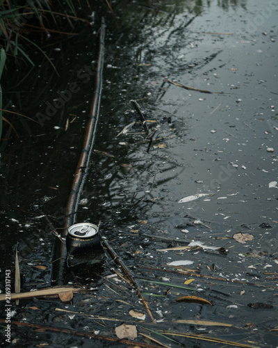 Принти на полотні Discarded aluminum can polluting water near wetland vegetation