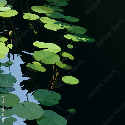 Green lily pads float on a dark tranquil pond surface