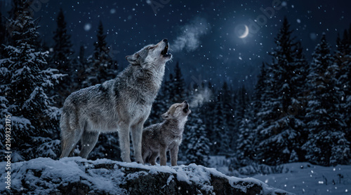 Two wolves howling at the moon in a snowy forest at night.