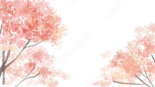 紅葉