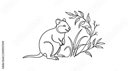 Quokka Animal Line Art Drawing Isolated on Transparent Background