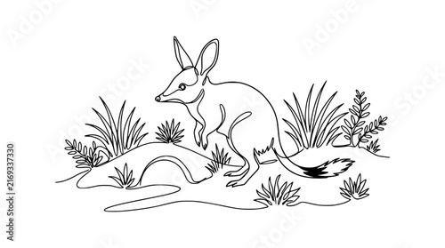 Bilby Animal Line Art Isolated on Transparent Background - Australian Native Wildlife