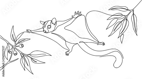 Sugar Glider Flying on Branch, Continuous Line Art, Isolated