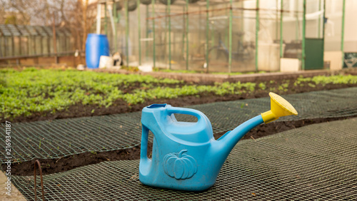 Obraz na plátně Blue watering can in greenhouse garden with seedlings and green grids
