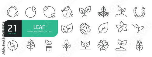 Set Of Leaf Icons. Outline Symbols Elements Collection