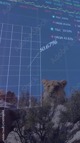 Animation of stock market data processing over mountain lion in the woods
