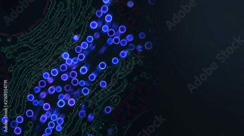 Microscopic view of pancreatic beta cells with glowing insulin granules in human cytoplasm.