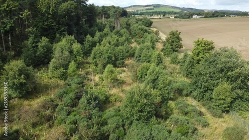 Drone Flying Over Young Regenerating Woodland with Pioneer Trees