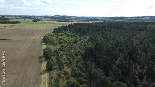 Drone Flying Over Young Regenerating Woodland with Pioneer Trees