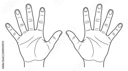 A minimalist black and white line art illustration depicting two hands making a symmetrical split-finger gesture against a plain white background.
