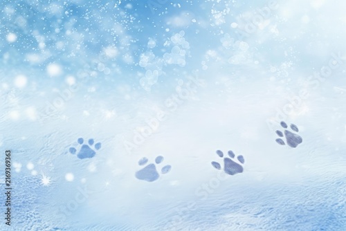 Animal tracks leaving paw prints on a sparkling blue snow background during winter