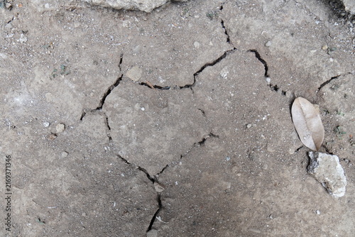Cracked dry earth texture with a single fallen leaf on arid ground surface background.