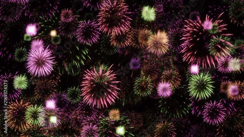 A vibrant display of colorful fireworks illuminates the night sky with dazzling bursts.
