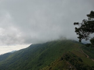 Crédence de cuisine Camping mountain view with sea of mist background  © Gohan T