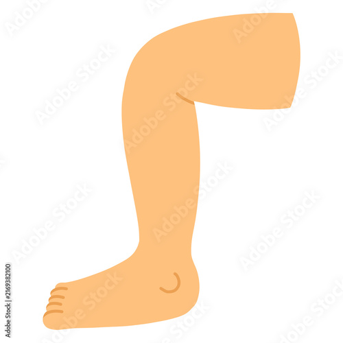 Bild auf Leinwand cartoon illustration of human legs,knees, feet