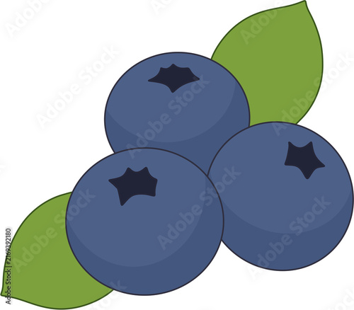 Blueberry Berries with Leaves Flat Vector Illustration