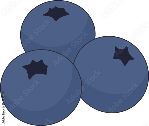 Blueberries Flat Vector Illustration