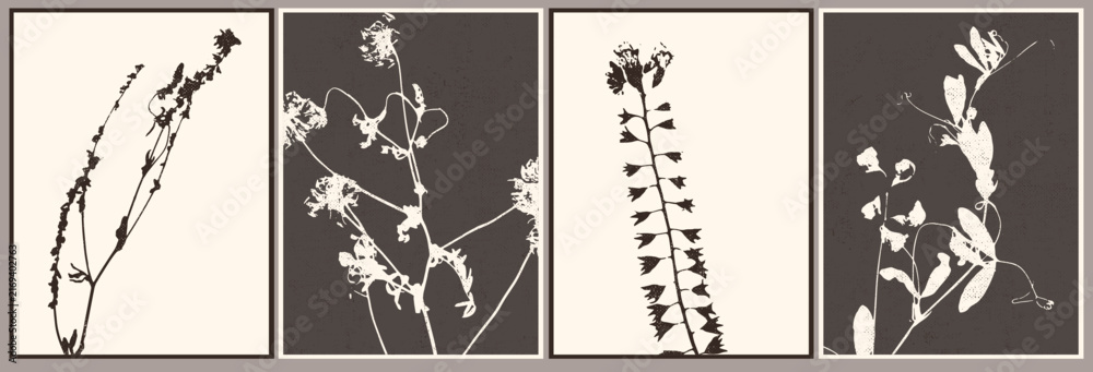 Obraz premium Stamp distressed flowers, leaves, plants. Minimal style wild flower. Spring, summer, autumn botanical art. Wall art composition with canvas texture. Monochromatic vintage style.