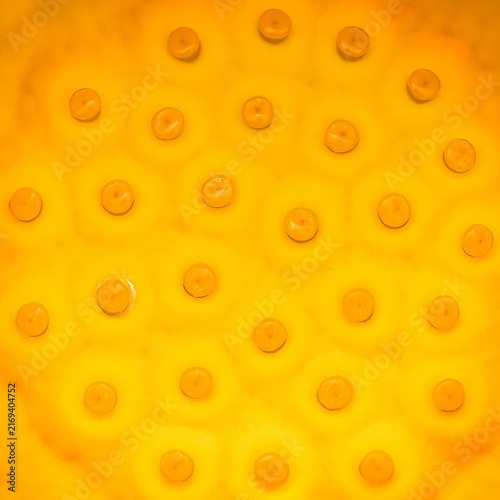 Bild auf Leinwand Close up view of a yellow lotus heart with a pattern of circular seeds arranged