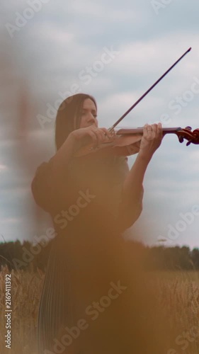 Woman in flowing green dress playing violin in golden wheat field at sunset, expressing emotion and artistry against dramatic cloudy sky and distant treeline
