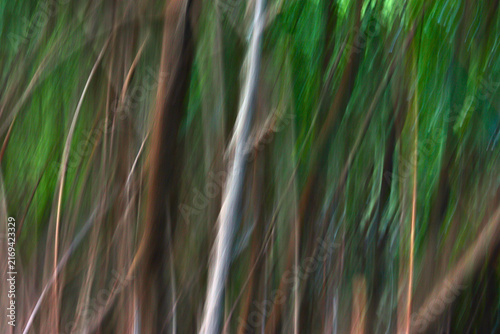 Foto intentional camera movement photography of forest