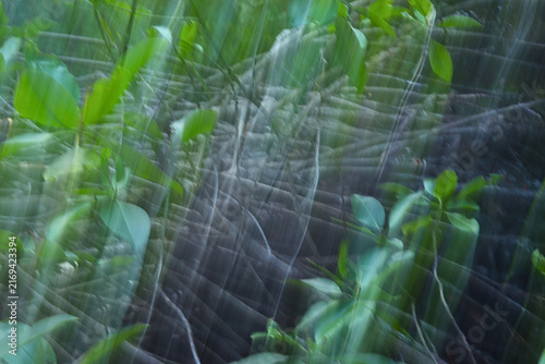 Fotografía intentional camera movement photography of forest